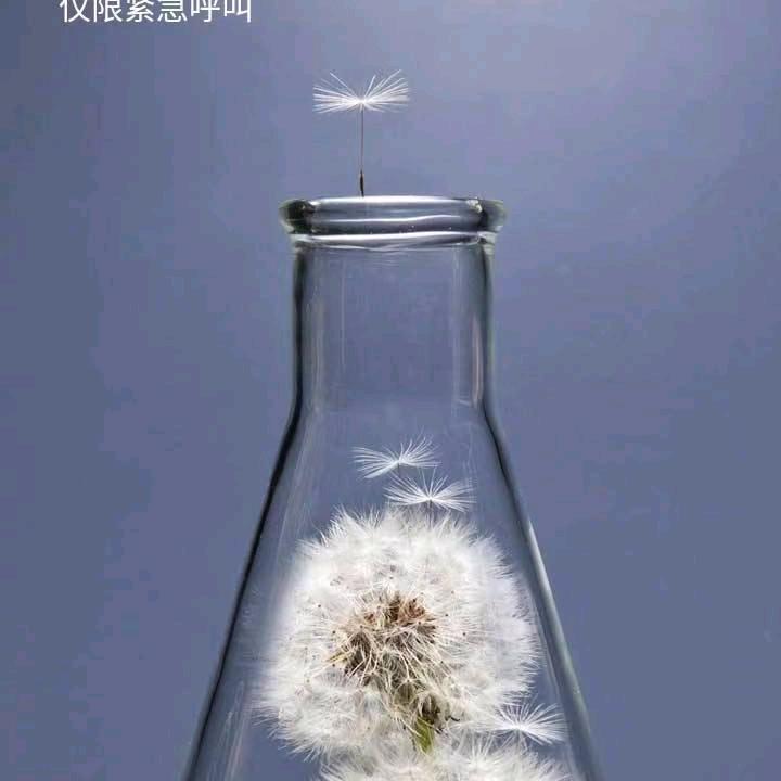 苦辣酸甜