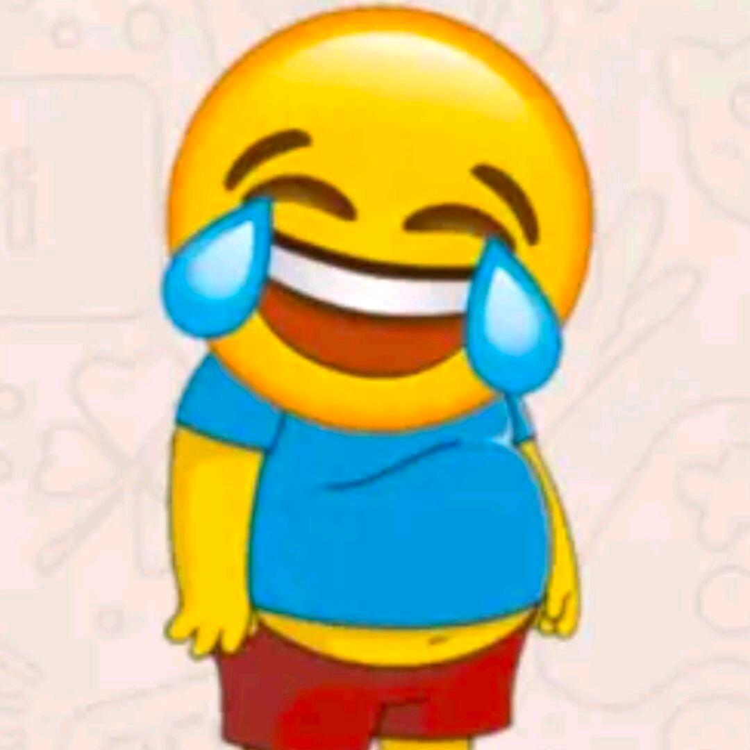 哈尼z