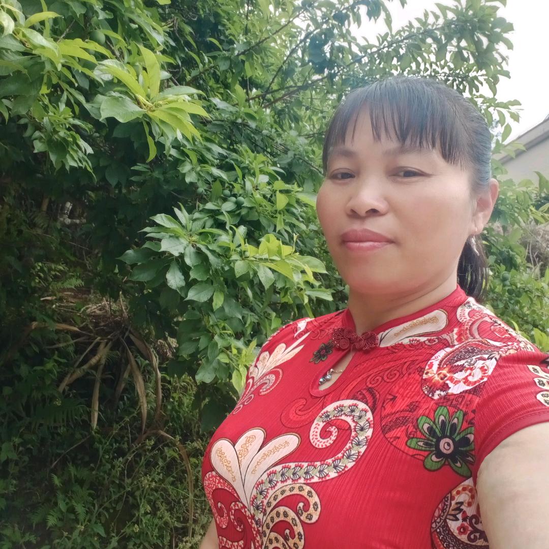 🌺莲花🌺