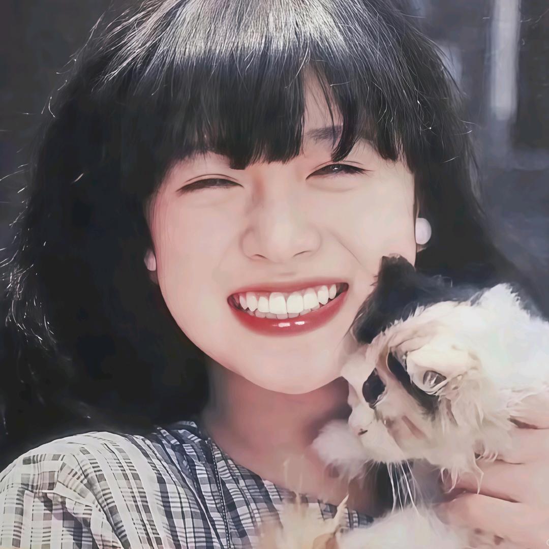 辉辉公猪