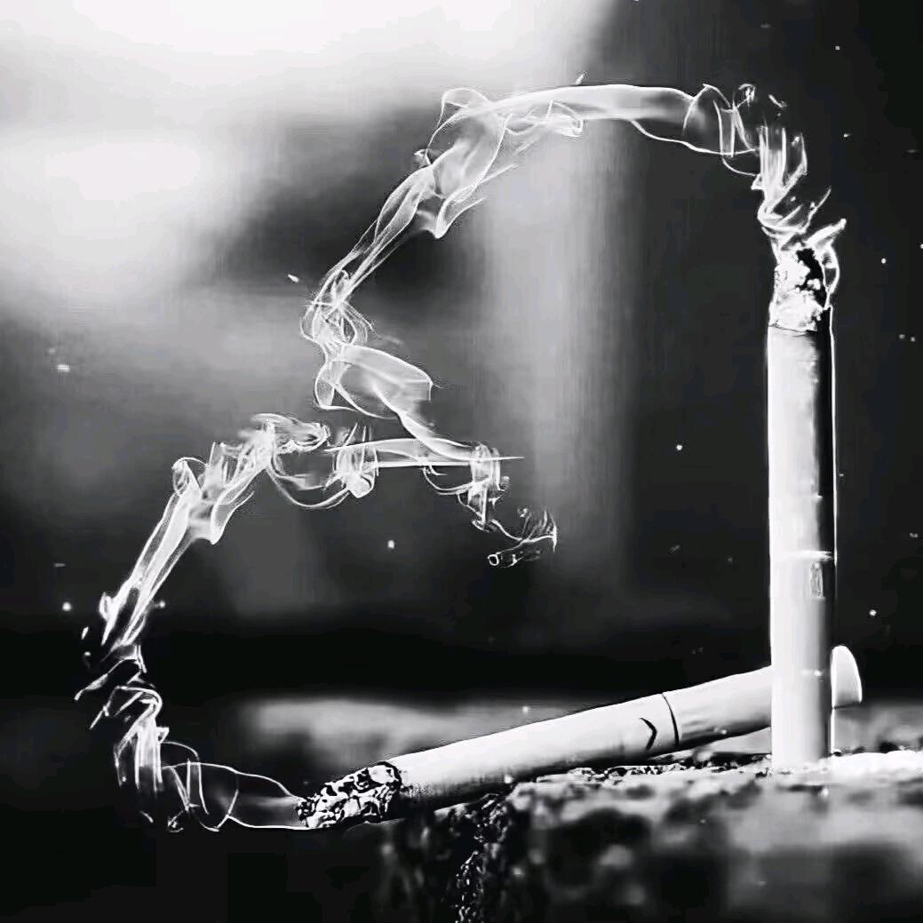 张公子