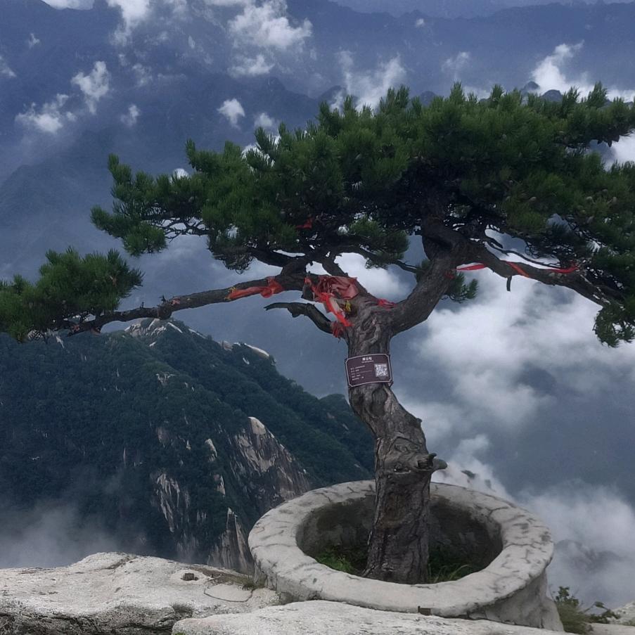 陌生人！
