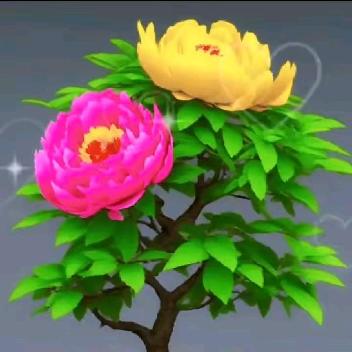 山花