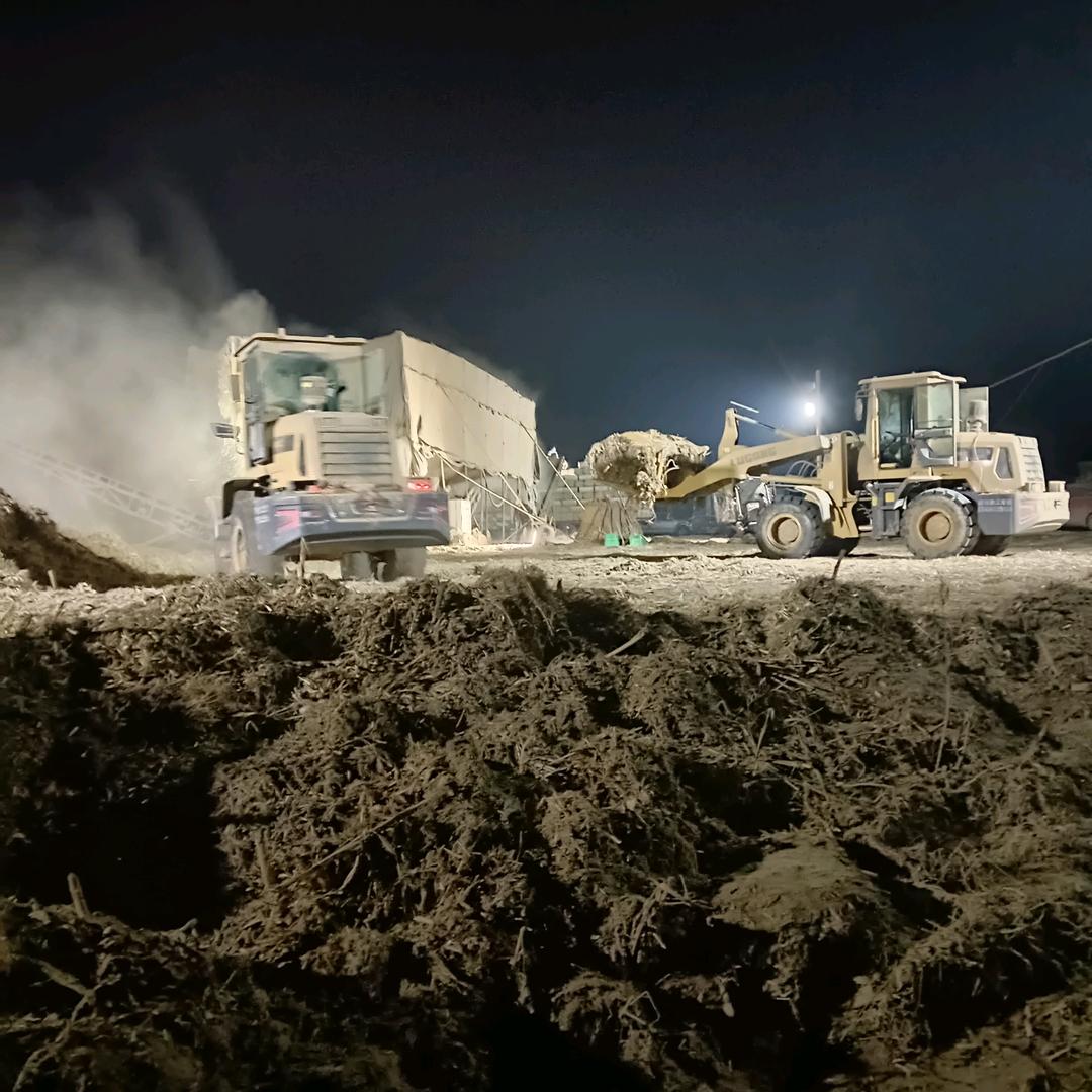 好运连连，生活甜甜2025年来好运