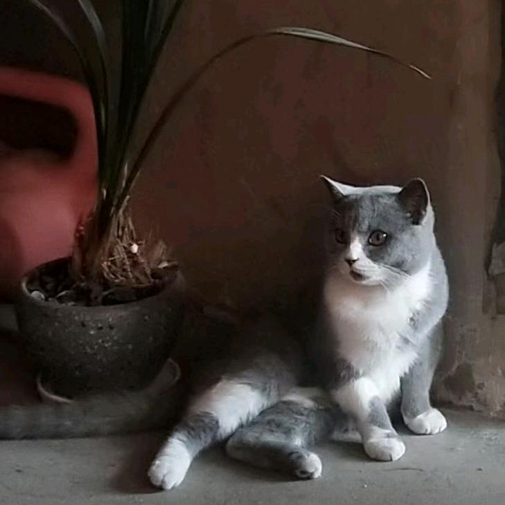 千喜不是辣妹. 🐒