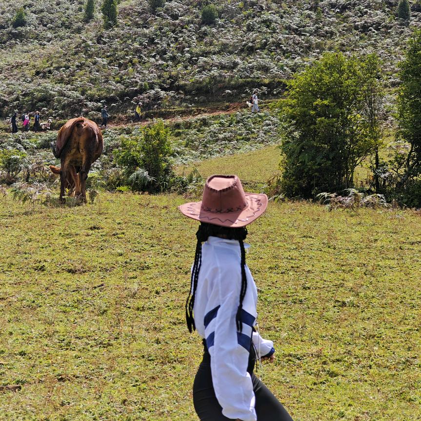 🐗野猪娘娘（体脂不到22不改名）