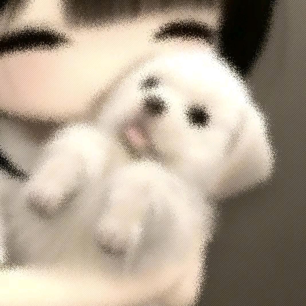 雾子