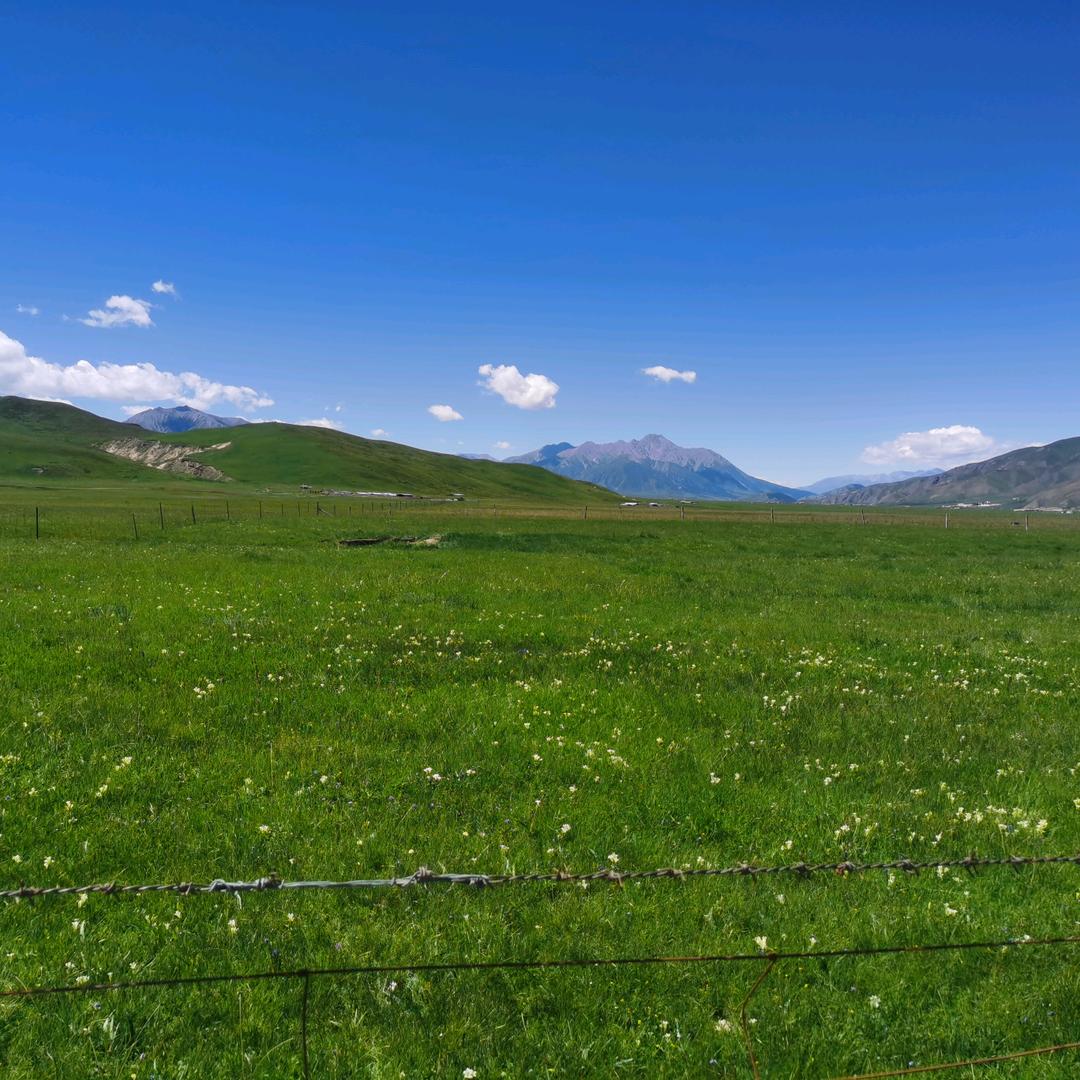 无念( •̥́ ˍ •̀ू )