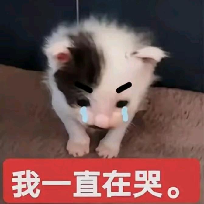 TvT