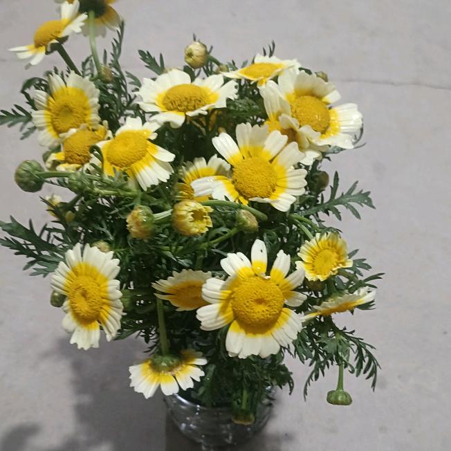 记录每天的生活