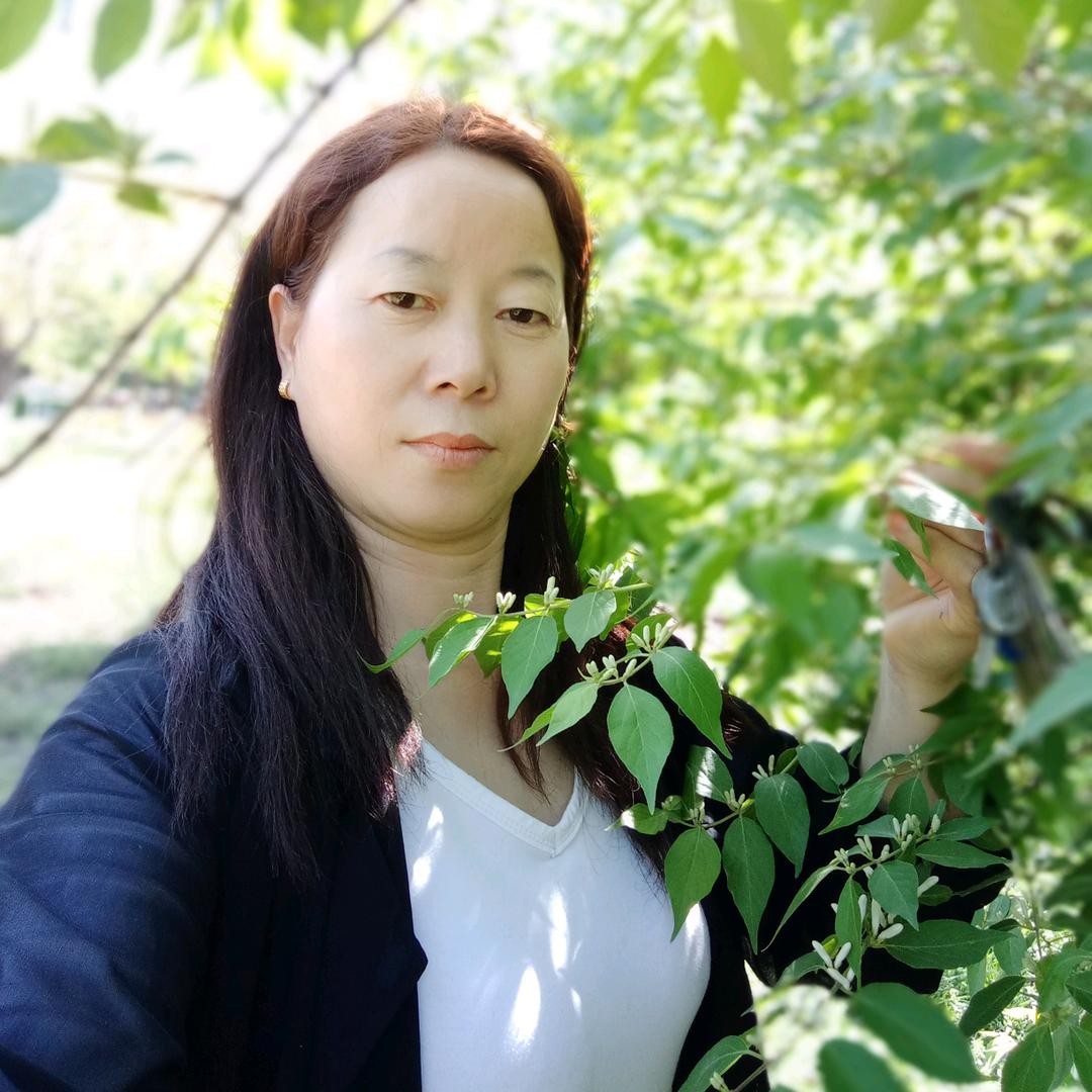 封丘沙发床