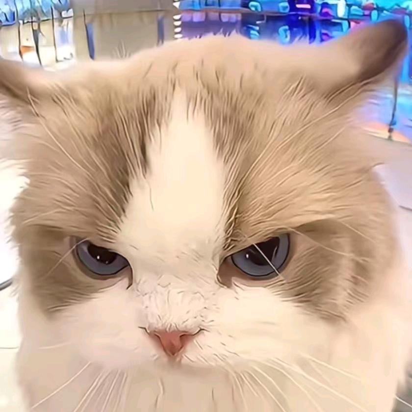 易昂.^