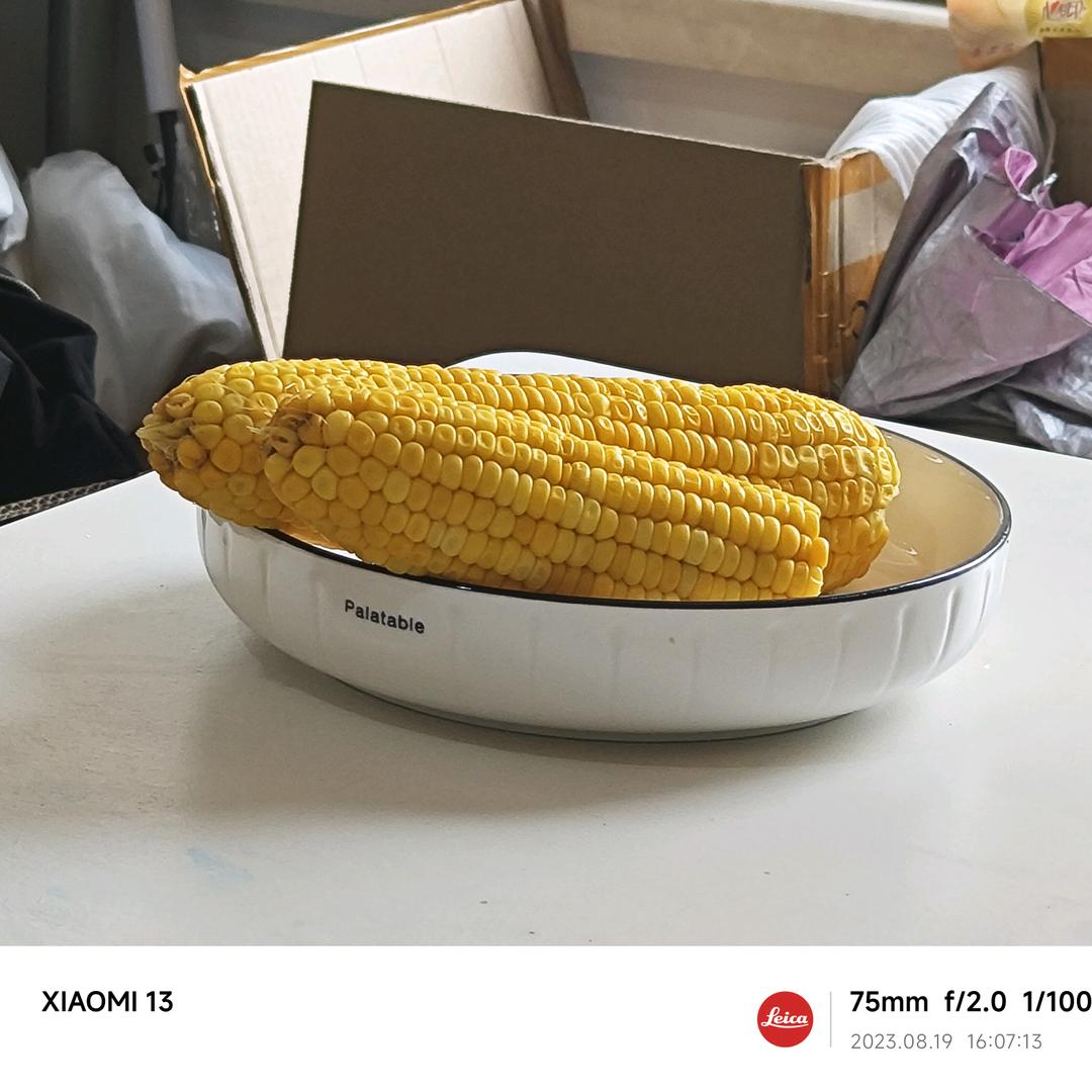 白茶清酒一壶生