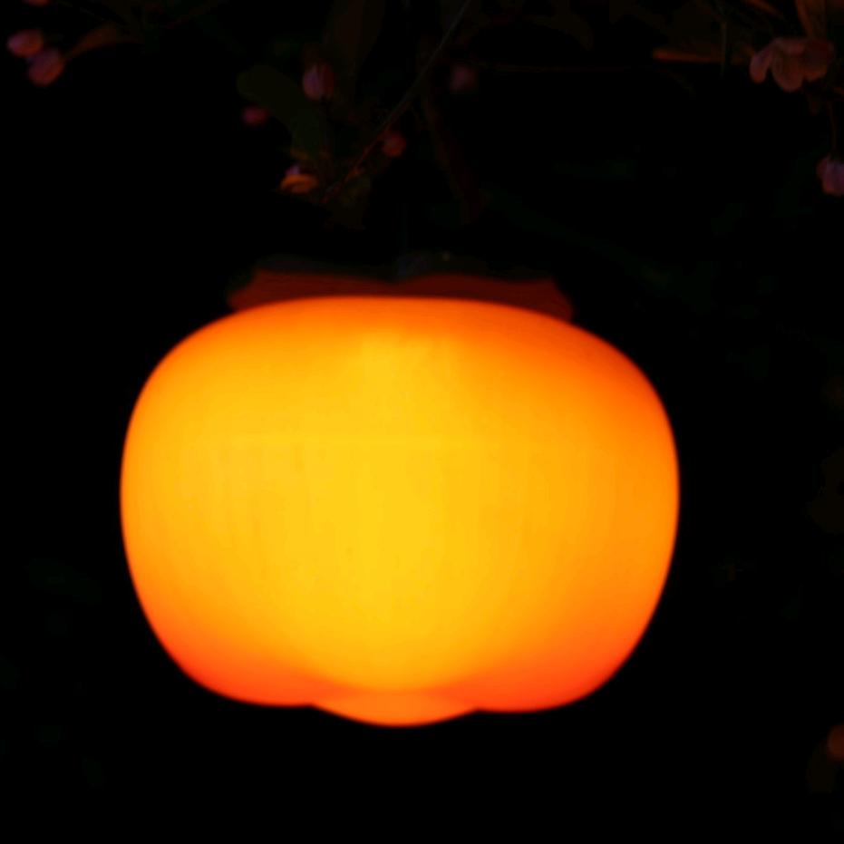 别偷小明后场🏸（小明摄影📷）