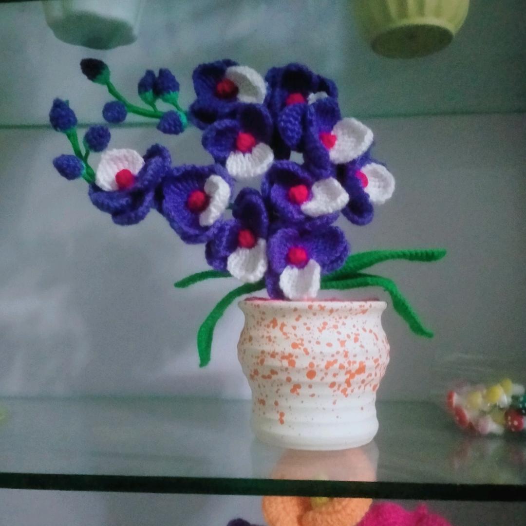 1548826064隔壁老王