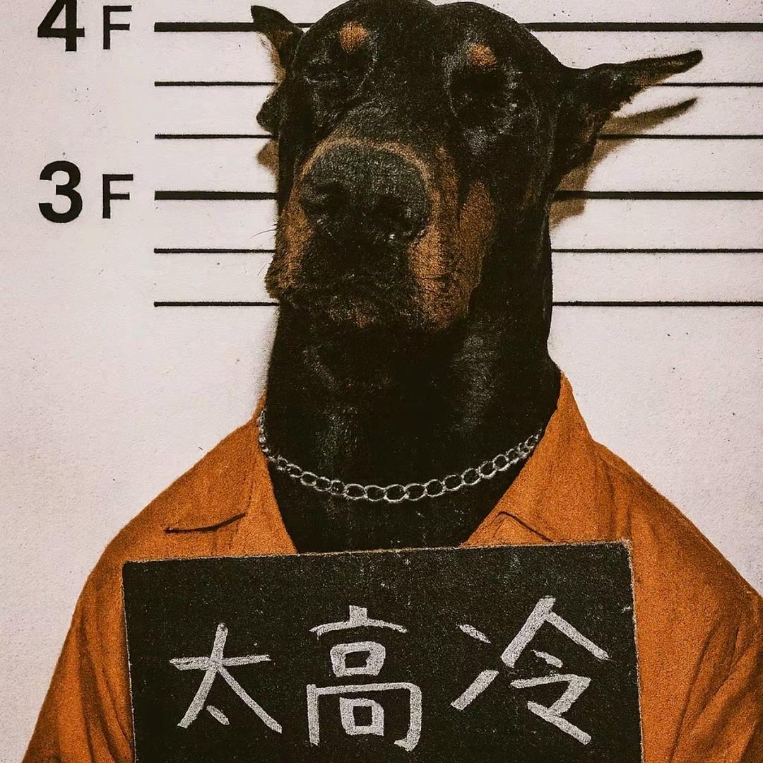 七仔呀