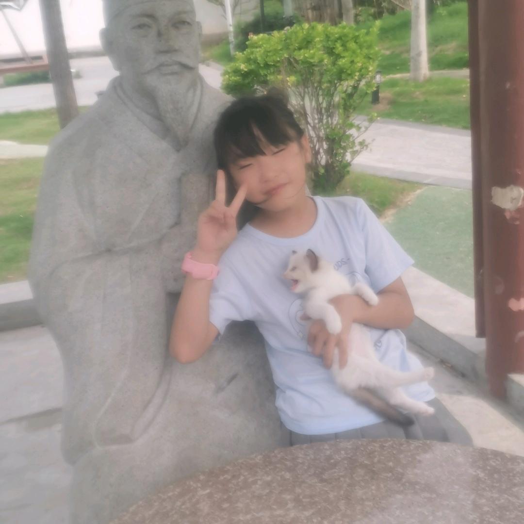心想事成