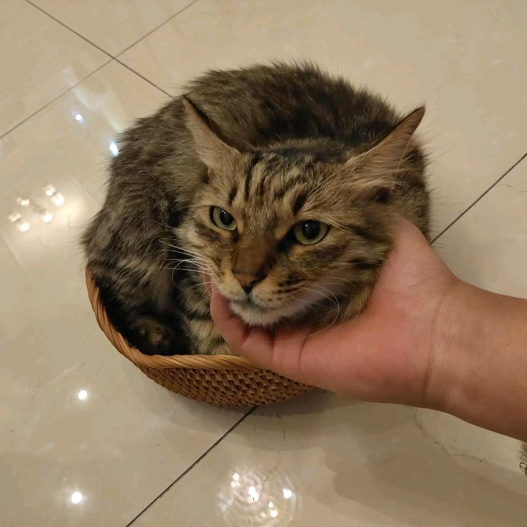 晚上好冷啊