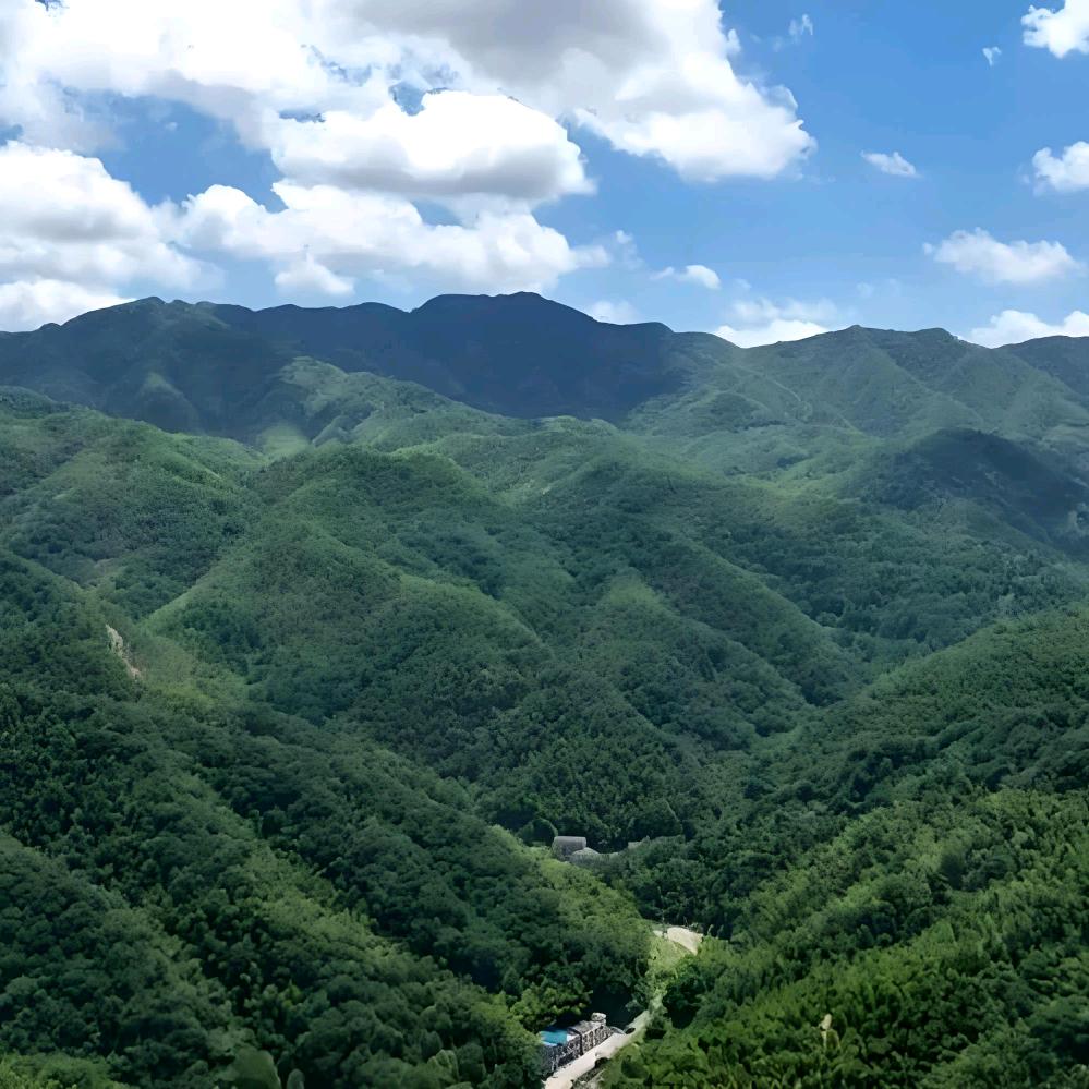飞鸿哥农副产品销售