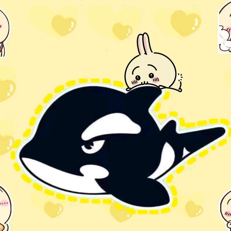 网鱼电竞汉阳九州通店