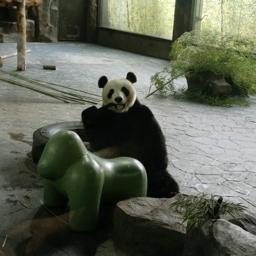 李小宝.