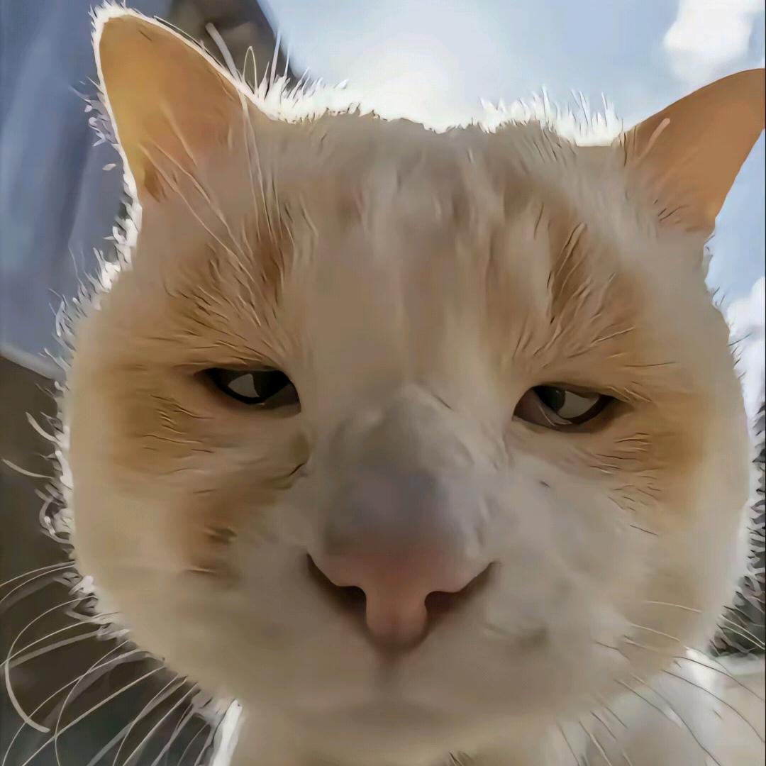 ~