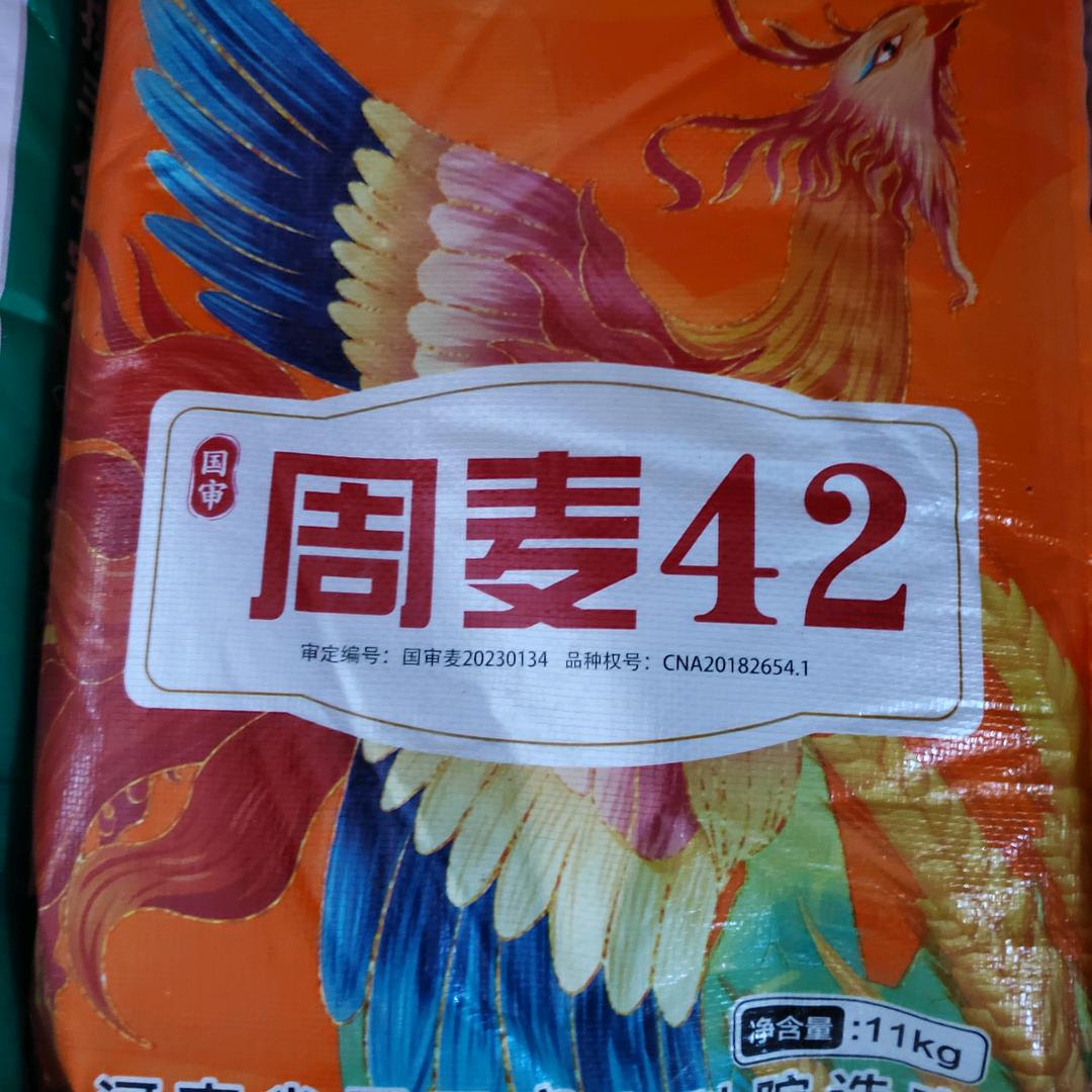 段国峰