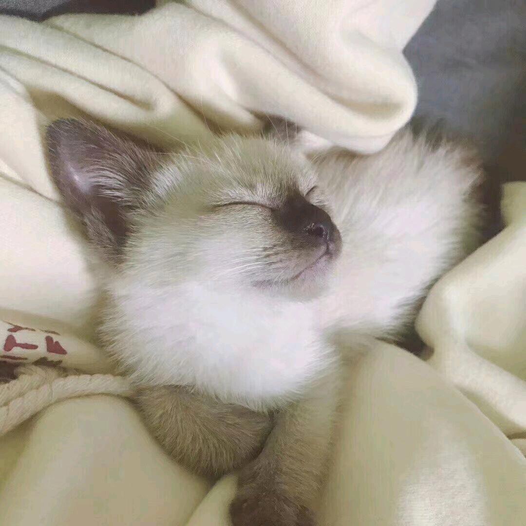 聂叨叨(接三角洲代肝哈弗币)