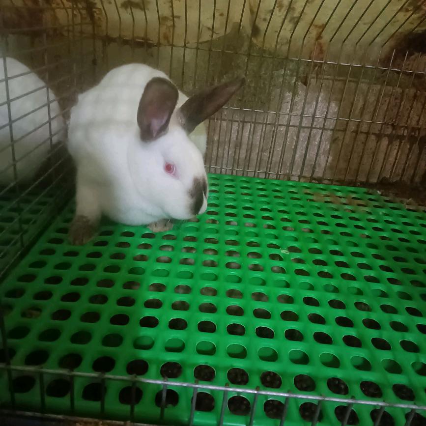 NING时光不回🐇🍡🍀