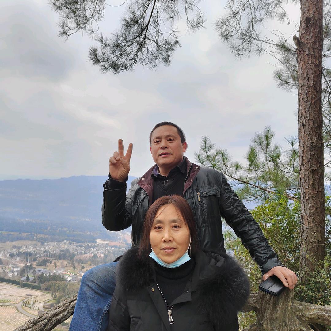 关外飞鹰