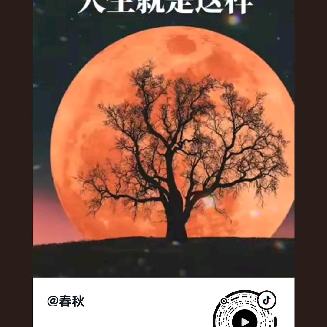 独尊