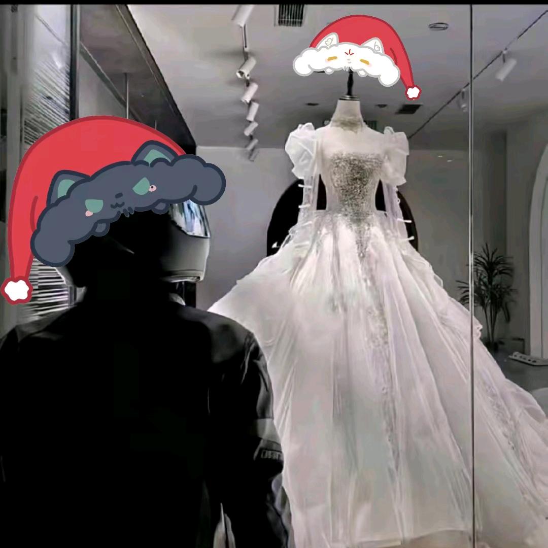 不会骑车的摩托佬（买车版）