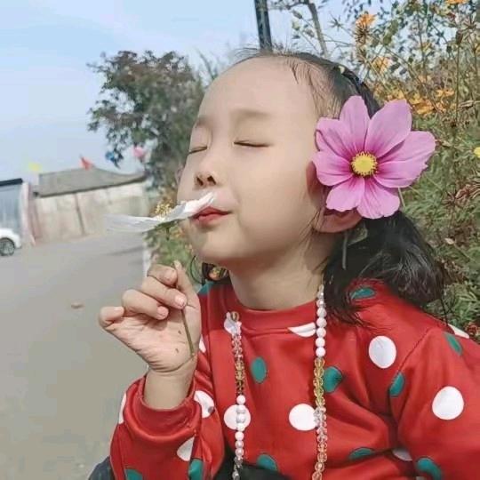 洋洋妈妈手抄报