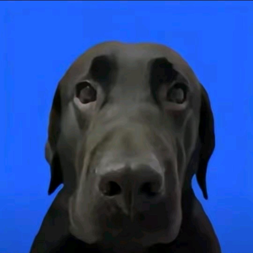 大狗喷
