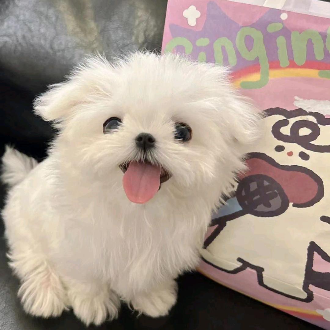 Smile。