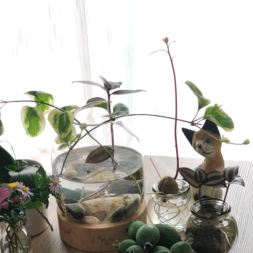 枕溪古琴 小薇