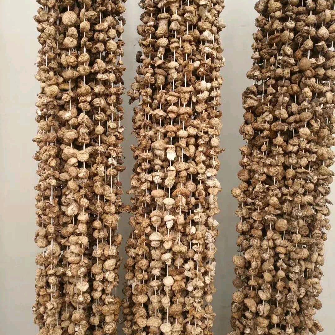 野蘑菇马勃收售