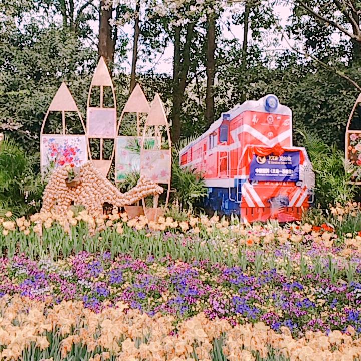 胡庆麻麻优品分享