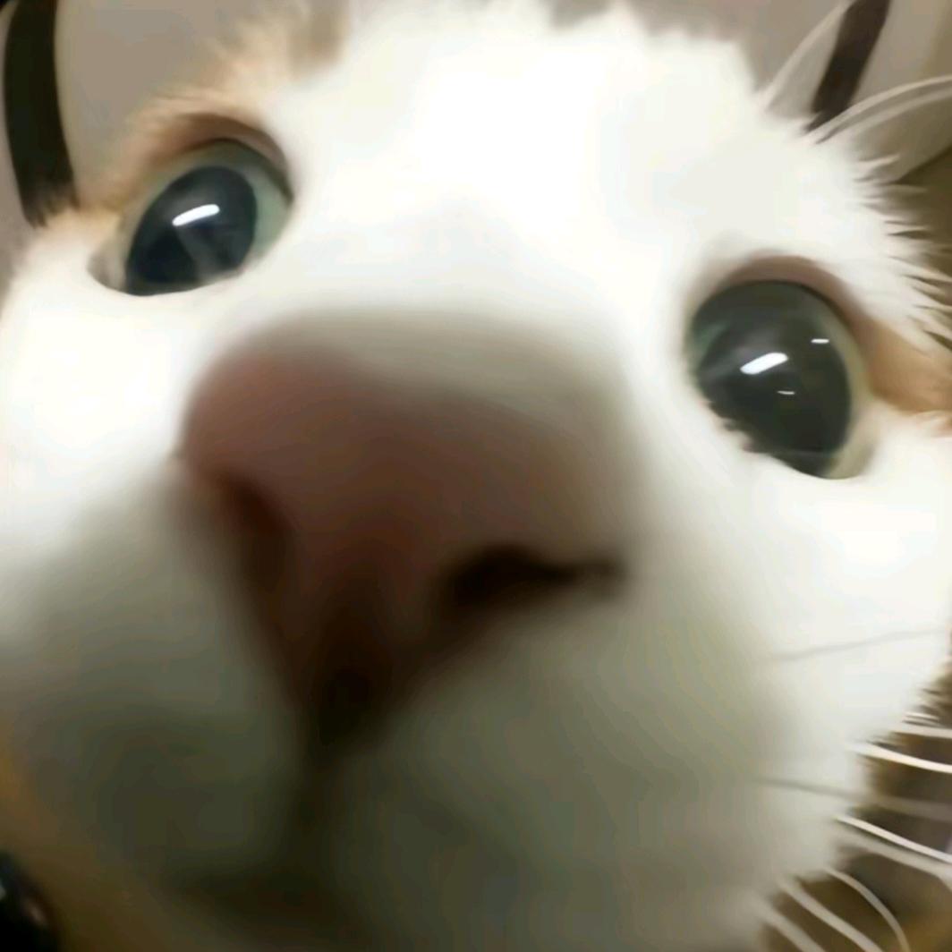 阿目