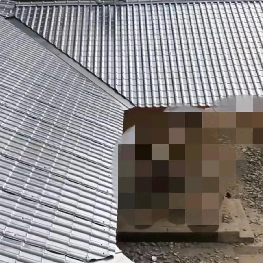 瓦房改建