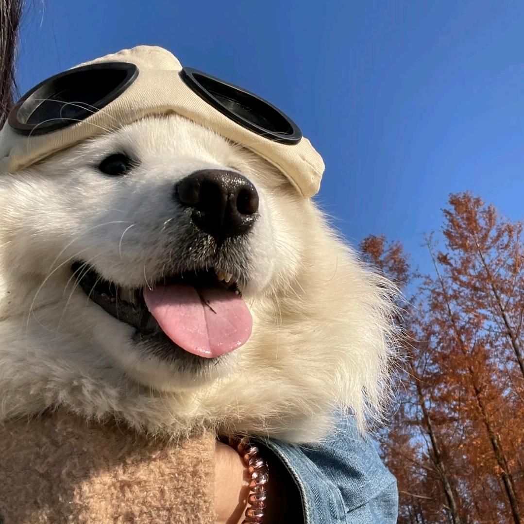 Bo一冰