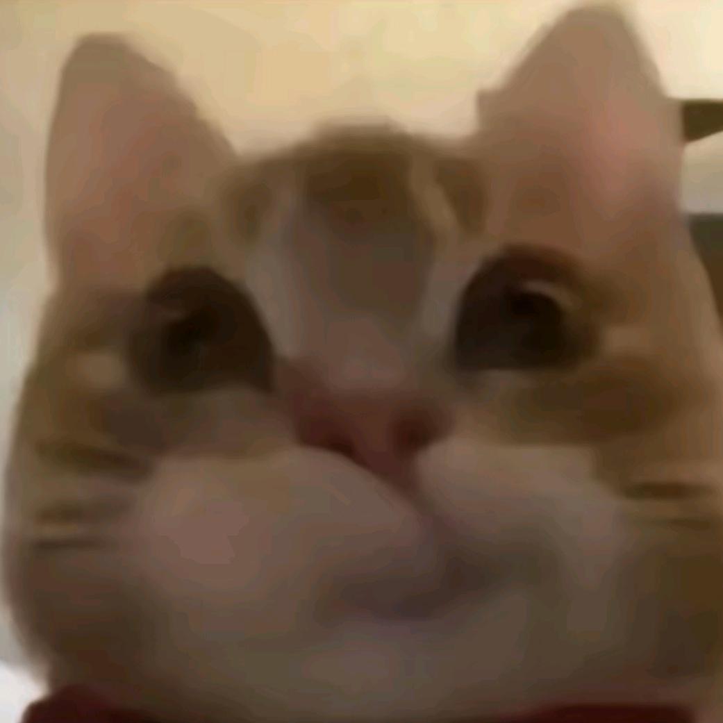 满地王八我壳最绿🔰