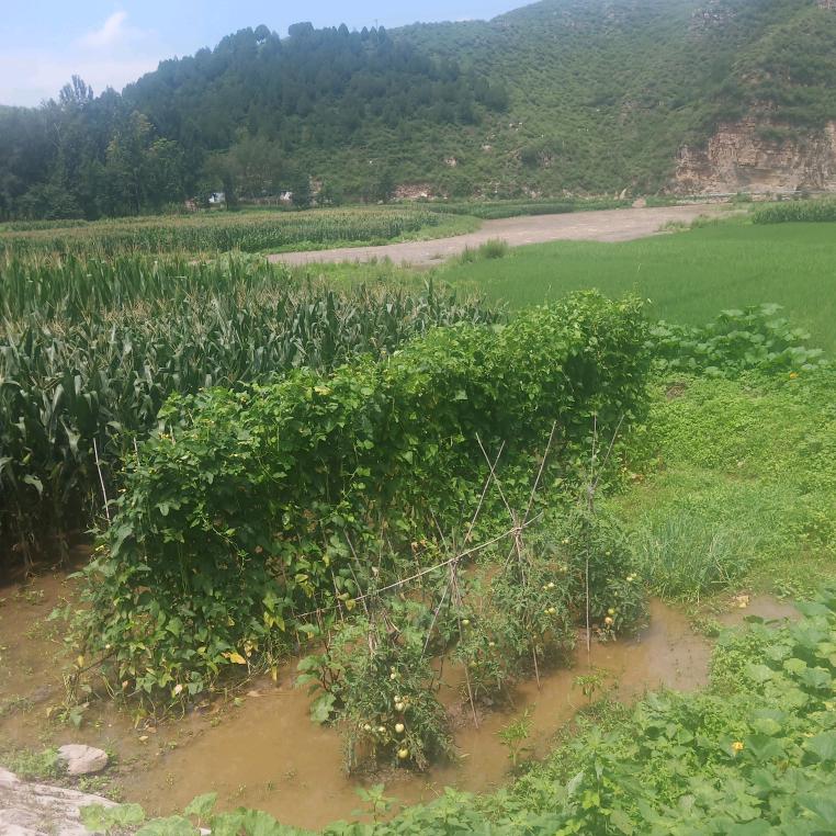 风风来不如追风去
