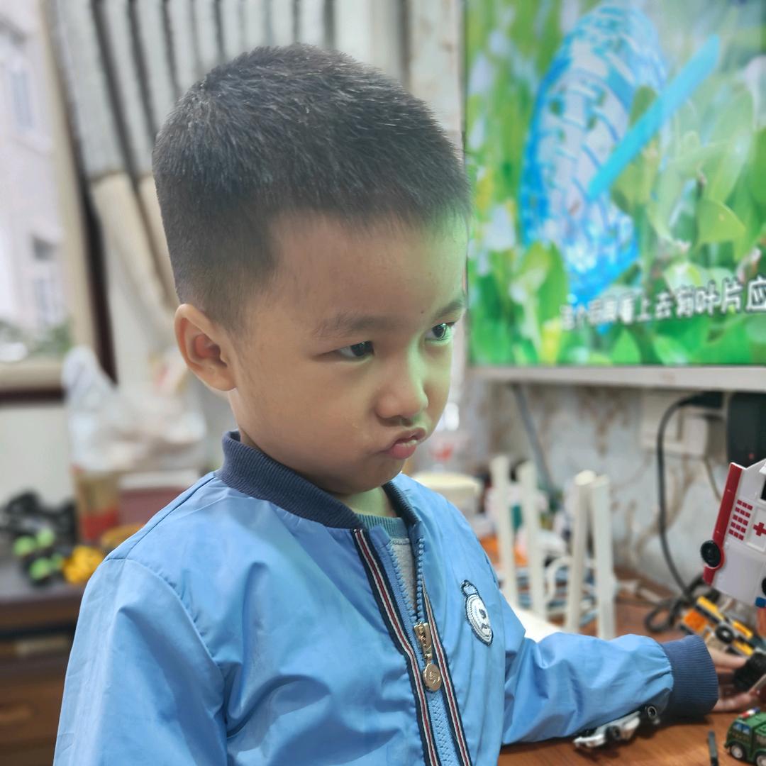 斑马小镇丶团团