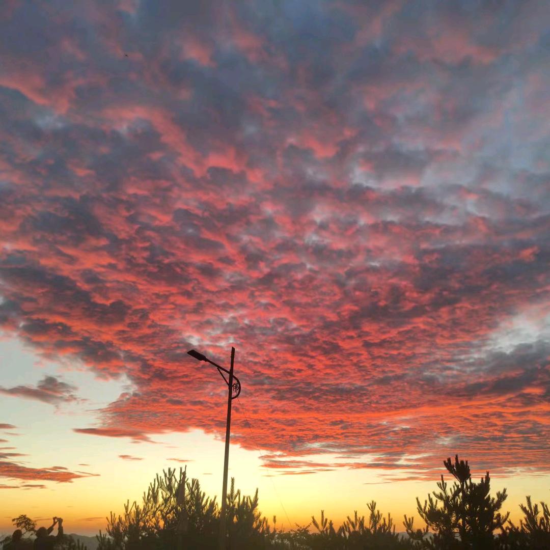 暴龙战士龙傲天异界逍遥成圣笑傲绝顶临巅峰