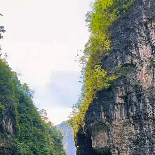 宁静致远