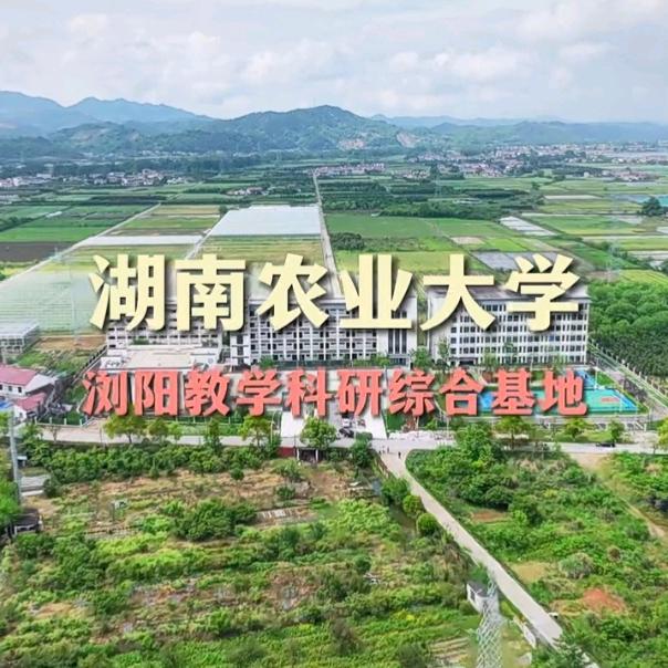 湘农浏阳动攻队