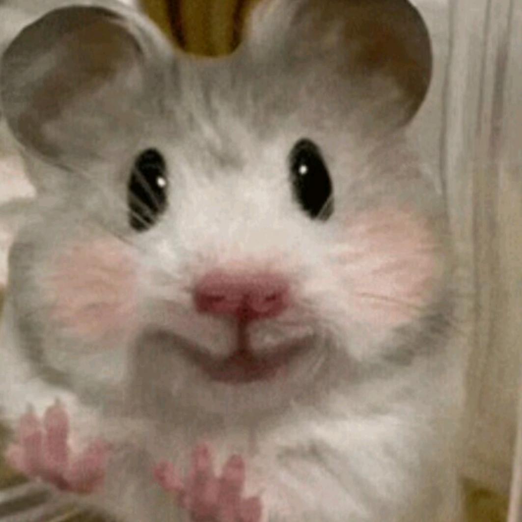 多多金