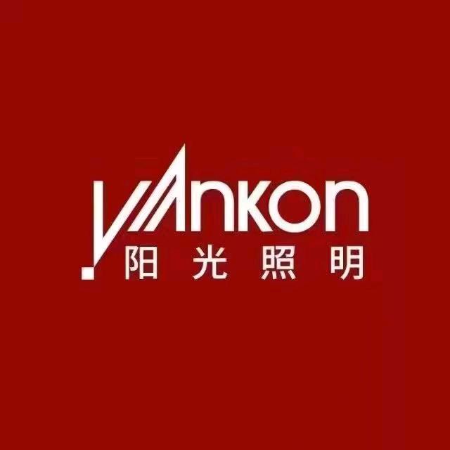 城东阳光德力西照明