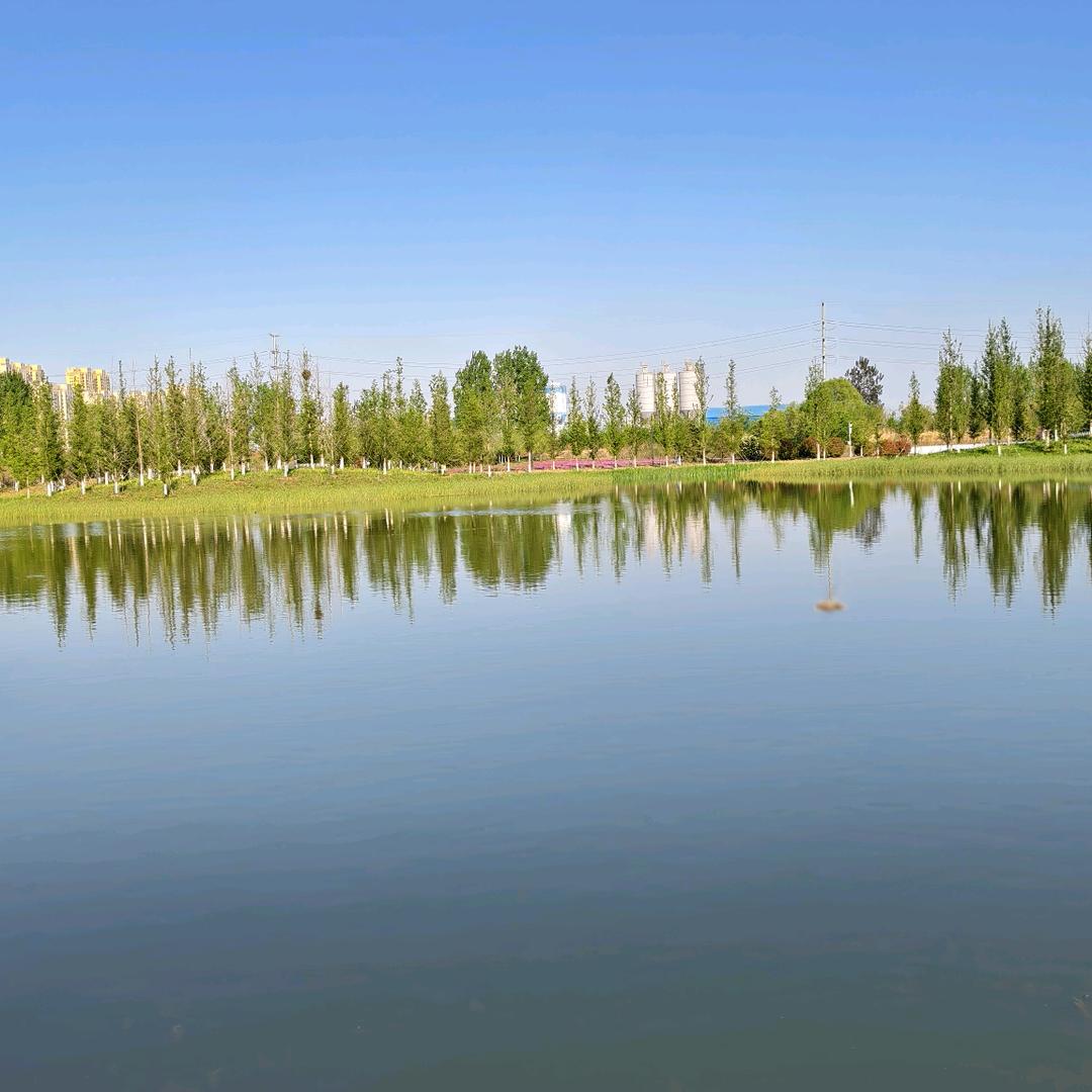 醉美烟台（关必回）